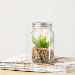 Vue générale Plante Décorative Kyala | Krokrodeal