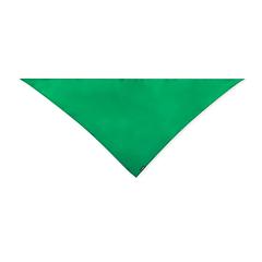 Vue Foulard Wasat de couleur vert| Krokrodeal