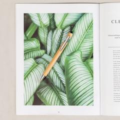 Vue générale Stylet Bille Clixo | Krokrodeal