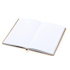Vue générale Bloc Notes Ensemencé Baupres | Krokrodeal