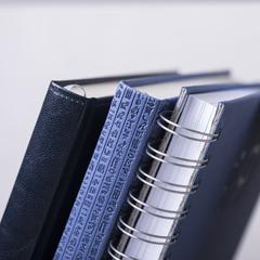 Vue Agenda Versalles de couleur bleu| Krokrodeal