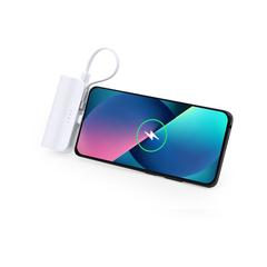 Vue générale Power Bank Laford | Krokrodeal