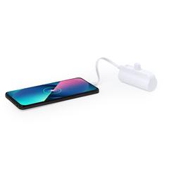 Vue générale Power Bank Laford | Krokrodeal