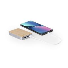 Vue générale Power Bank Newin | Krokrodeal
