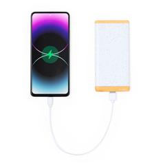 Vue générale Power Bank Coquin | Krokrodeal