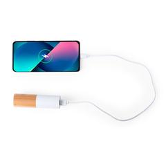 Vue générale Power Bank Reneh | Krokrodeal