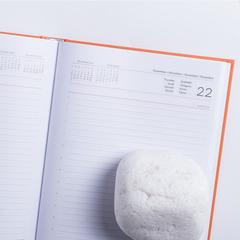Vue générale Agenda Cannes | Krokrodeal