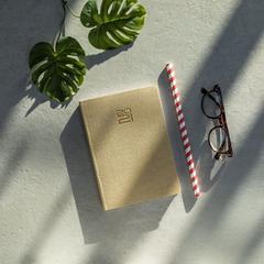 Vue Agenda Fredex de couleur beige| Krokrodeal
