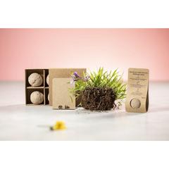 Vue générale Kit Verger Tomarux | Krokrodeal