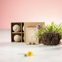 Vue générale Capsule de Graine Biyok | Krokrodeal