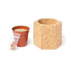 Vue générale Pot de Fleurs Gulytel | Krokrodeal