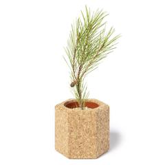 Vue générale Pot de Fleurs Gulytel | Krokrodeal