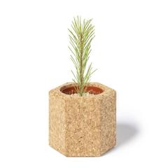 Vue générale Pot de Fleurs Gulytel | Krokrodeal