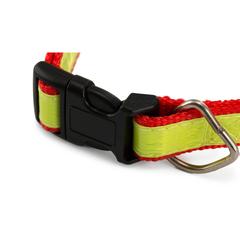Vue générale Collier Muttley | Krokrodeal