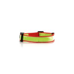 Vue générale Collier Muttley | Krokrodeal