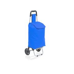 Vue Caddie Course Max de couleur bleu| Krokrodeal