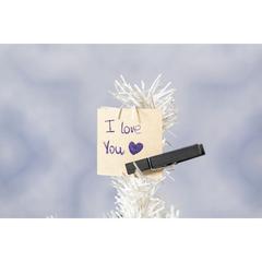 Vue Arbre de Noël Pines de couleur blanc| Krokrodeal