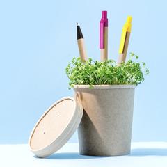 Vue générale Stylo Tori | Krokrodeal