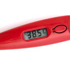 Vue générale Thermomètre Digital Kelvin | Krokrodeal