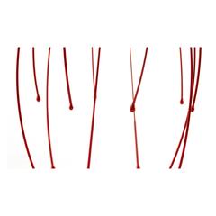 Vue générale Masseur Citus | Krokrodeal