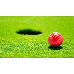 Vue générale Balle Golf Nessa | Krokrodeal