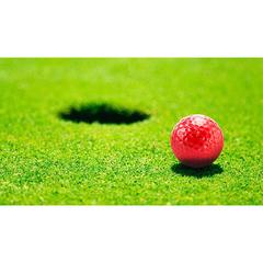 Vue générale Balle Golf Nessa | Krokrodeal