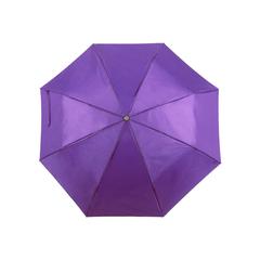 Vue Parapluie Ziant de couleur violet| Krokrodeal