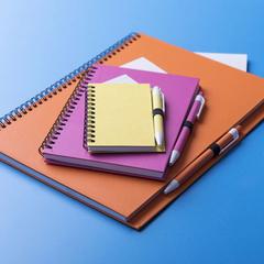 Vue générale Cahier Koguel | Krokrodeal