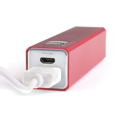 Vue générale Power Bank Thazer | Krokrodeal