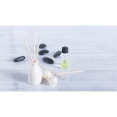 Vue générale Diffuseur Aromatique Nailex | Krokrodeal