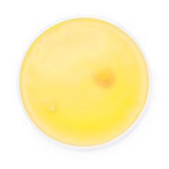 Vue Patch Chaleur Kison de couleur jaune| Krokrodeal