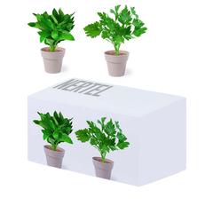 Vue générale Set Pot de Fleurs Nertel | Krokrodeal