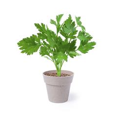 Vue générale Set Pot de Fleurs Nertel | Krokrodeal
