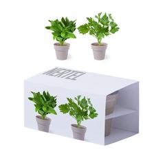 Vue générale Set Pot de Fleurs Nertel | Krokrodeal