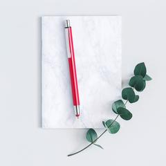 Vue générale Stylet Bille Rondex | Krokrodeal