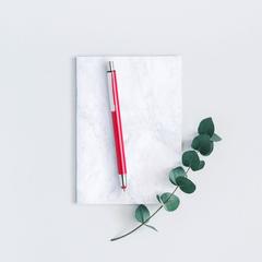 Vue générale Stylet Bille Rondex | Krokrodeal