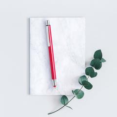 Vue générale Stylet Bille Rondex | Krokrodeal