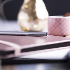 Vue Stylo Zardox de couleur gris| Krokrodeal