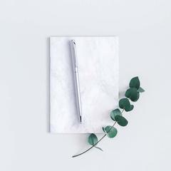 Vue générale Stylo Zardox | Krokrodeal