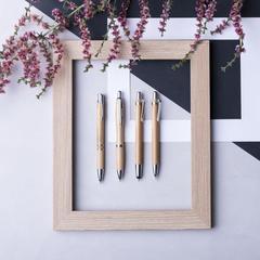 Vue Stylo Yiagan de couleur -| Krokrodeal