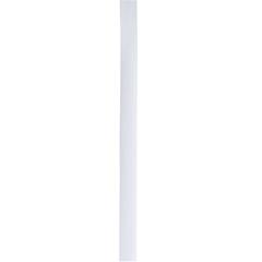 Vue Ruban Chapeau Polyesterband de couleur blanc| Krokrodeal