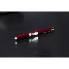 Vue Stylet Bille Renseix de couleur gris| Krokrodeal