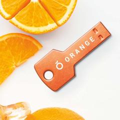 Vue générale Clé USB Fixing 16GB | Krokrodeal