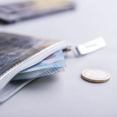 Vue générale Porte Monnaie Faudok | Krokrodeal