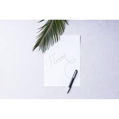 Vue générale Stylo Flixon | Krokrodeal
