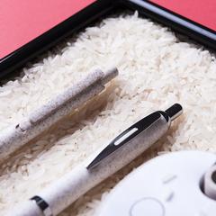 Vue générale Stylo Prodox | Krokrodeal