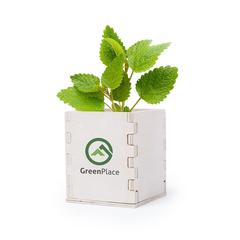 Vue générale Pot de Fleurs Merin | Krokrodeal