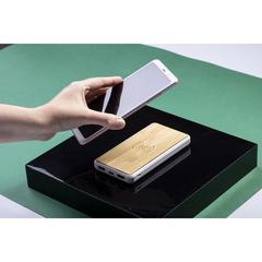 Vue Power Bank Dickens de couleur -| Krokrodeal