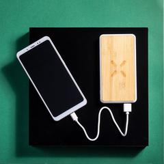 Vue générale Power Bank Dickens | Krokrodeal