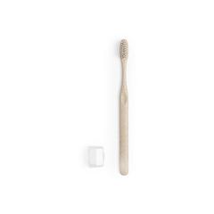 Vue générale Brosse à Dents Cleidol | Krokrodeal